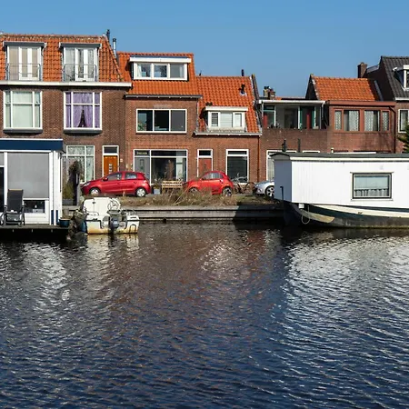 Sunflower 3* Leiden