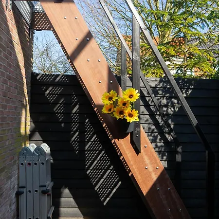 Panzió Sunflower *