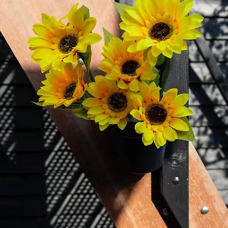 Sunflower ベッド・アンド・ブレックファスト