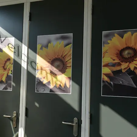 Panzió Sunflower 3*