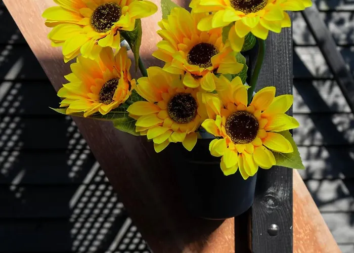 Sunflower Oda ve Kahvaltı