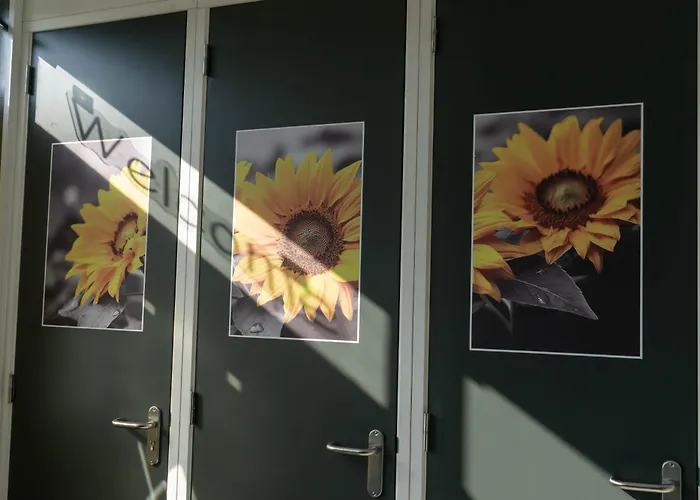 Bed & Breakfast Sunflower 3*